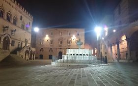 La Fragola Viola